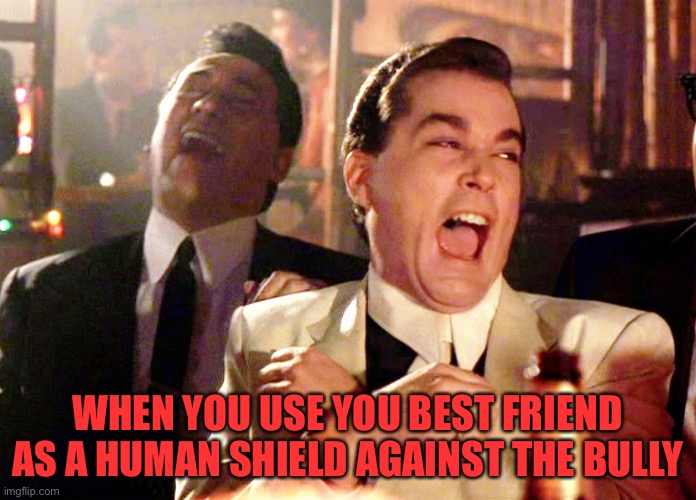 Rip ur friend | WHEN YOU USE YOU BEST FRIEND AS A HUMAN SHIELD AGAINST THE BULLY | image tagged in memes,good fellas hilarious,funny,lmao,dark humor,friend | made w/ Imgflip meme maker
