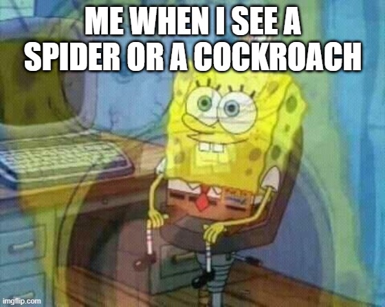 AHHH | ME WHEN I SEE A SPIDER OR A COCKROACH | image tagged in spongebob panic inside | made w/ Imgflip meme maker