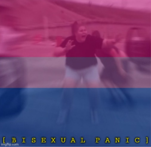 Bisexual Panic | image tagged in bisexual panic | made w/ Imgflip meme maker