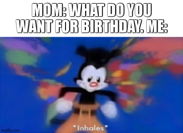 NORF GUNE | MOM: WHAT DO YOU WANT FOR BIRTHDAY. ME: | image tagged in inhales | made w/ Imgflip meme maker