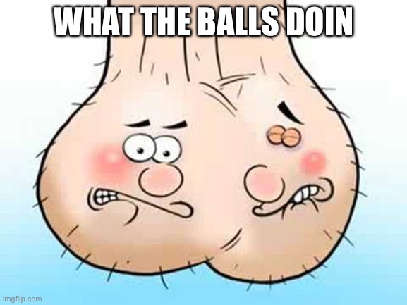 e | WHAT THE BALLS DOIN | image tagged in testicles - balls | made w/ Imgflip meme maker
