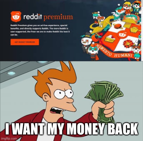 what do you think | I WANT MY MONEY BACK | image tagged in memes,shut up and take my money fry,reddit | made w/ Imgflip meme maker