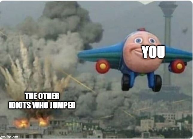 Flying Away From Chaos | YOU THE OTHER IDIOTS WHO JUMPED | image tagged in flying away from chaos | made w/ Imgflip meme maker