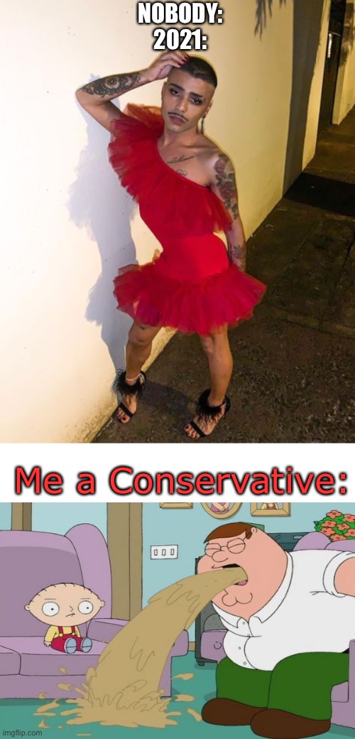 WTF is wrong with people these days? | NOBODY:
2021:; Me a Conservative: | image tagged in peter griffin vomit,conservatives,politics,wtf,gross | made w/ Imgflip meme maker