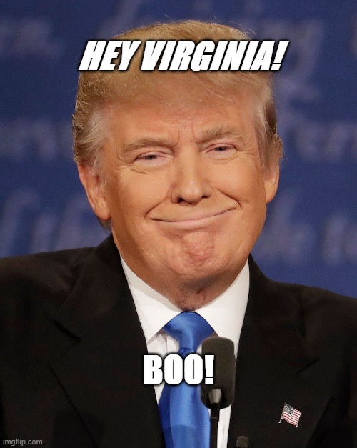 HEY VIRGINIA | HEY VIRGINIA! BOO! | image tagged in politics | made w/ Imgflip meme maker