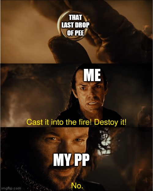 cast it into the fire | THAT LAST DROP OF PEE; ME; MY PP | image tagged in cast it into the fire | made w/ Imgflip meme maker