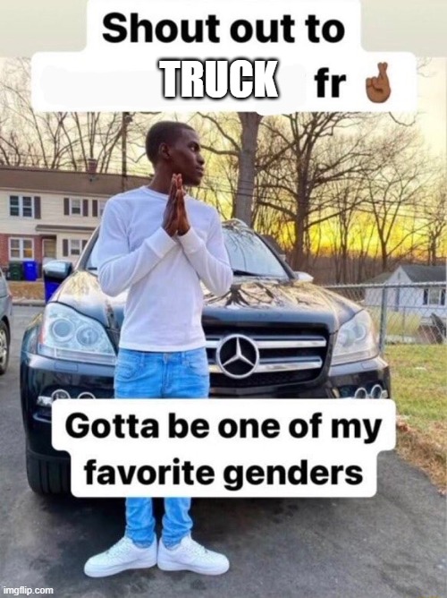 Shout out to.... Gotta be one of my favorite genders | TRUCK | image tagged in shout out to gotta be one of my favorite genders | made w/ Imgflip meme maker