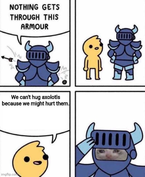 Plez take care of z wild | We can't hug axolotls because we might hurt them. | image tagged in nothing gets through this armour,axolotl | made w/ Imgflip meme maker