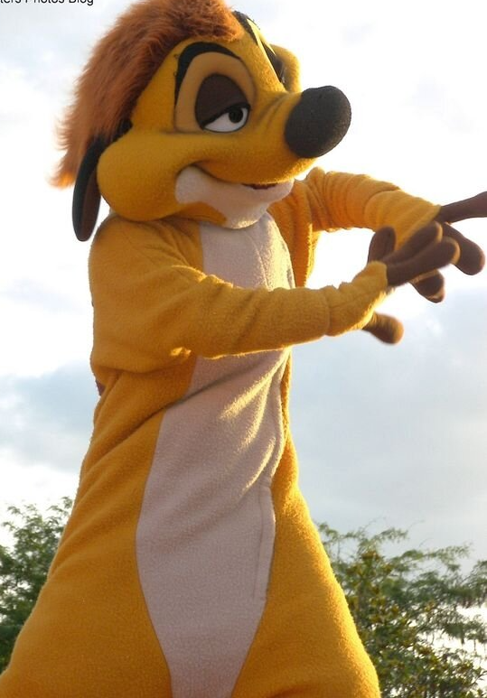 Andrew Taylor as Timon Blank Meme Template