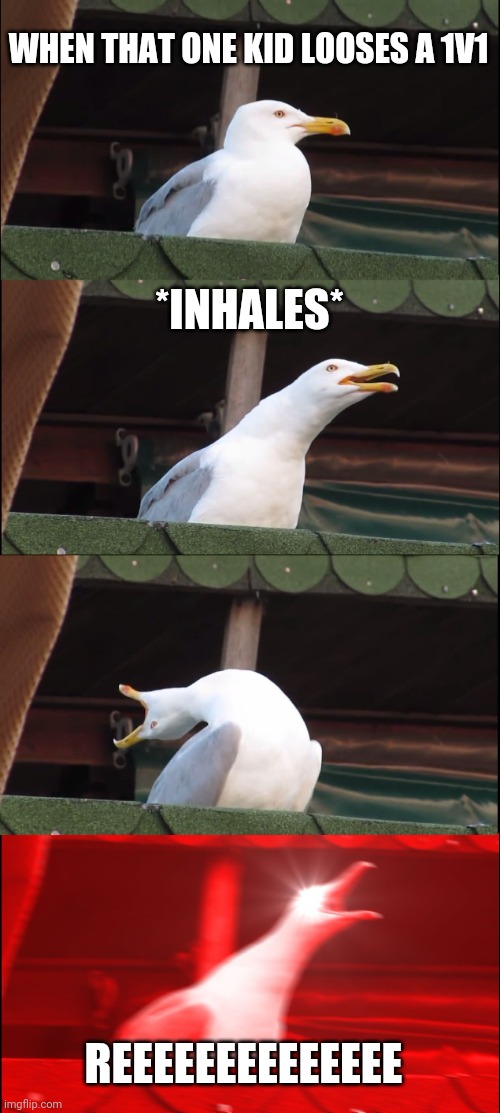 Inhaling Seagull | WHEN THAT ONE KID LOOSES A 1V1; *INHALES*; REEEEEEEEEEEEEE | image tagged in memes,inhaling seagull | made w/ Imgflip meme maker