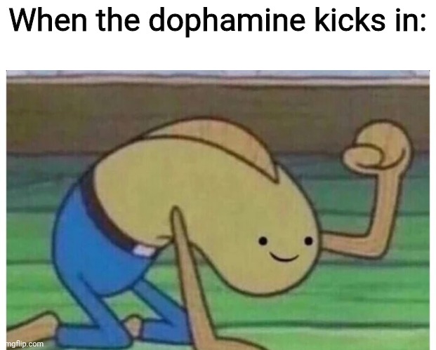 -^- | When the dophamine kicks in: | image tagged in lol,phish | made w/ Imgflip meme maker
