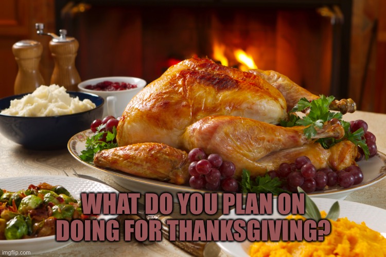 WHAT DO YOU PLAN ON DOING FOR THANKSGIVING? | image tagged in question,thanksgiving | made w/ Imgflip meme maker