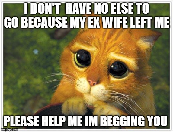 Shrek Cat Meme | I DON'T  HAVE NO ELSE TO GO BECAUSE MY EX WIFE LEFT ME; PLEASE HELP ME IM BEGGING YOU | image tagged in memes,shrek cat | made w/ Imgflip meme maker