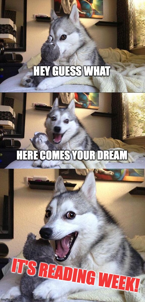 reading week! | HEY GUESS WHAT; HERE COMES YOUR DREAM; IT'S READING WEEK! | image tagged in memes,bad pun dog | made w/ Imgflip meme maker
