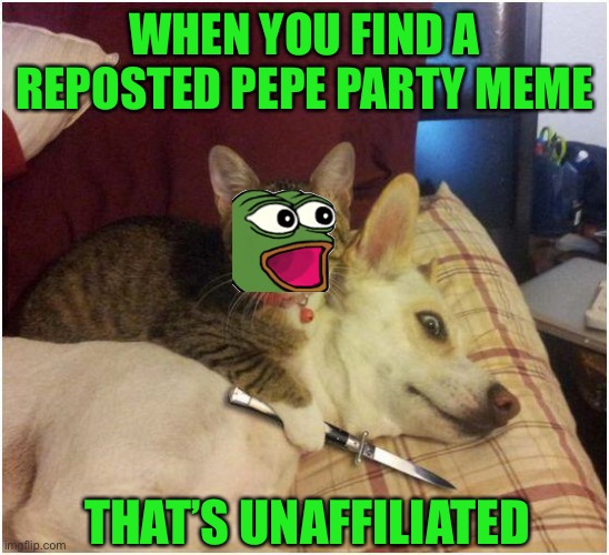 Warning killer cat | WHEN YOU FIND A REPOSTED PEPE PARTY MEME THAT’S UNAFFILIATED | image tagged in warning killer cat | made w/ Imgflip meme maker