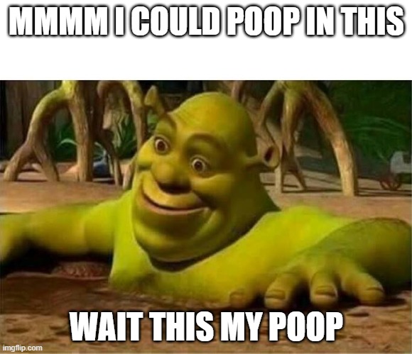 shrek | MMMM I COULD POOP IN THIS; WAIT THIS MY POOP | image tagged in shrek | made w/ Imgflip meme maker