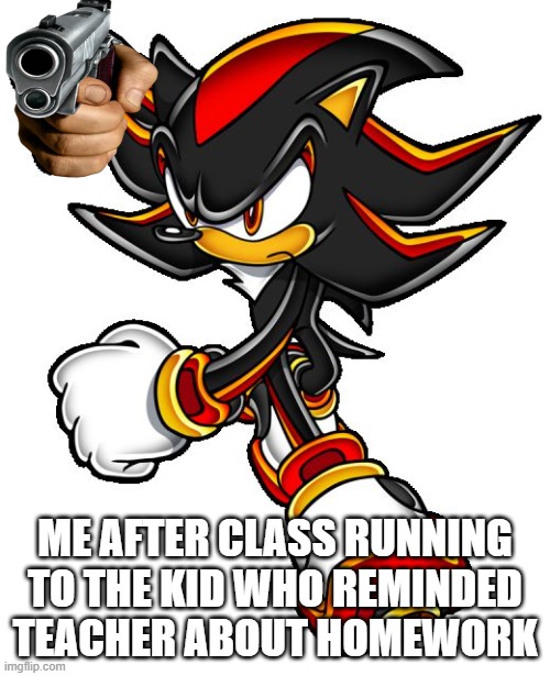 You cant remind teacher about homework its a crime | ME AFTER CLASS RUNNING TO THE KID WHO REMINDED TEACHER ABOUT HOMEWORK | image tagged in shadow the hedgehog | made w/ Imgflip meme maker