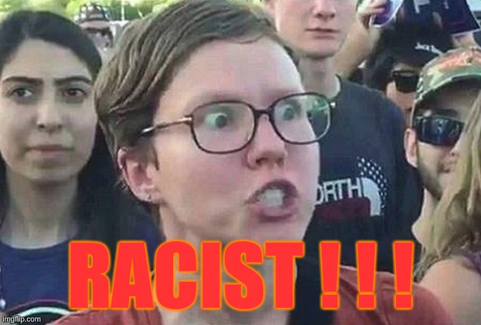 Triggered Liberal | RACIST ! ! ! | image tagged in triggered liberal | made w/ Imgflip meme maker