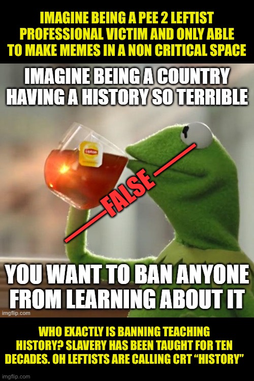 The Pee 2 Team only like to meme in a “safe space” | IMAGINE BEING A PEE 2 LEFTIST PROFESSIONAL VICTIM AND ONLY ABLE TO MAKE MEMES IN A NON CRITICAL SPACE; ——FALSE ——; WHO EXACTLY IS BANNING TEACHING HISTORY? SLAVERY HAS BEEN TAUGHT FOR TEN DECADES. OH LEFTISTS ARE CALLING CRT “HISTORY” | image tagged in pee 2 sucks,change my mind,leftists fear criticisms,my safe space,someone please protect them | made w/ Imgflip meme maker