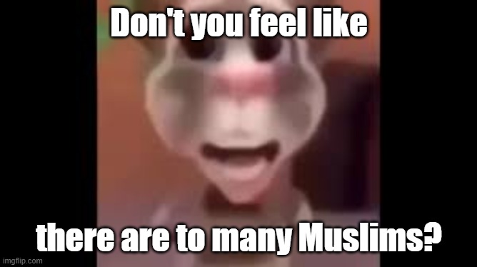 Boy What the Hell Boy | Don't you feel like; there are to many Muslims? | image tagged in boy what the hell boy | made w/ Imgflip meme maker