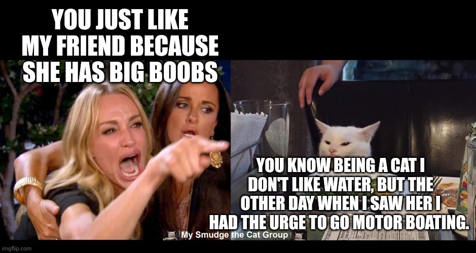 YOU JUST LIKE MY FRIEND BECAUSE SHE HAS BIG BOOBS; YOU KNOW BEING A CAT I DON'T LIKE WATER, BUT THE OTHER DAY WHEN I SAW HER I HAD THE URGE TO GO MOTOR BOATING. | image tagged in smudge the cat | made w/ Imgflip meme maker