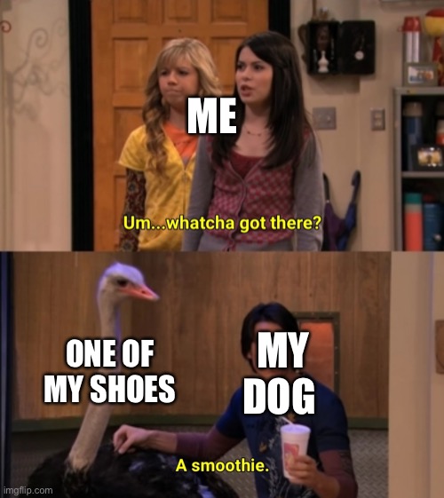 Somehow I still have meme ideas | ME; ONE OF MY SHOES; MY DOG | image tagged in whatcha got there,dog | made w/ Imgflip meme maker