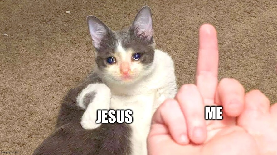 Middle finger cat | JESUS; ME | image tagged in middle finger cat | made w/ Imgflip meme maker