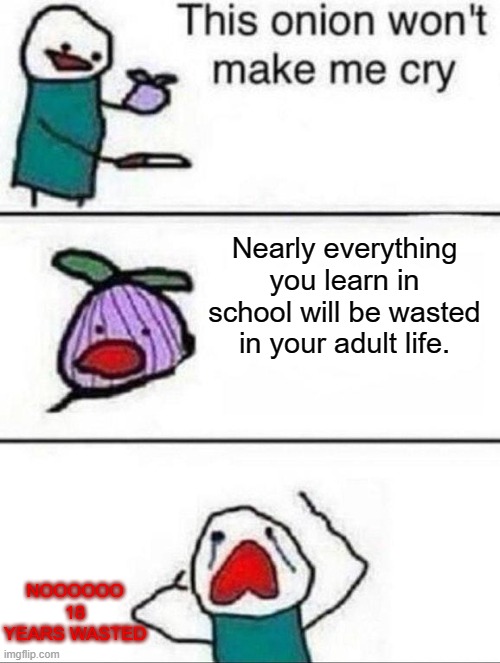 L | Nearly everything you learn in school will be wasted in your adult life. NOOOOOO 18 YEARS WASTED | image tagged in this onion wont make me cry,school | made w/ Imgflip meme maker