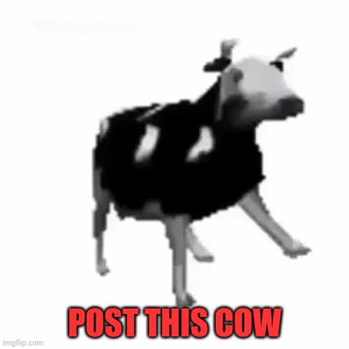 Post this cow | POST THIS COW | image tagged in polish cow,post this cow,evil cows,but why why would you do that | made w/ Imgflip meme maker