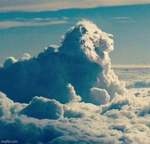 I thought I saw a lion in the clouds | image tagged in awesome | made w/ Imgflip meme maker