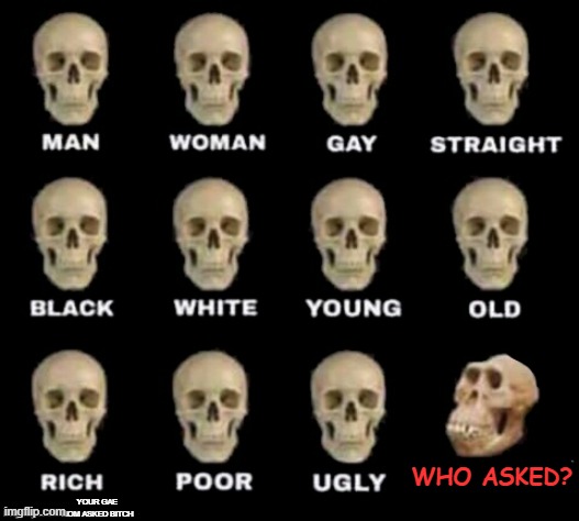 idiot skull | WHO ASKED? YOUR GAE MOM ASKED BITCH | image tagged in idiot skull | made w/ Imgflip meme maker