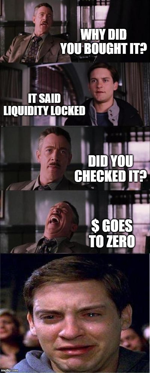 Peter Parker Cry Meme | WHY DID YOU BOUGHT IT? IT SAID LIQUIDITY LOCKED; DID YOU CHECKED IT? $ GOES TO ZERO | image tagged in memes,peter parker cry | made w/ Imgflip meme maker