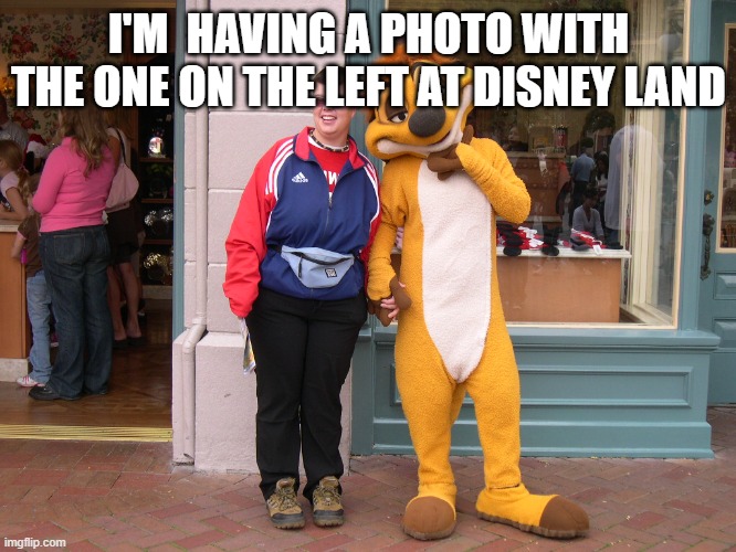 Andrew Taylor as Timon | I'M  HAVING A PHOTO WITH THE ONE ON THE LEFT AT DISNEY LAND | image tagged in andrew taylor as timon | made w/ Imgflip meme maker