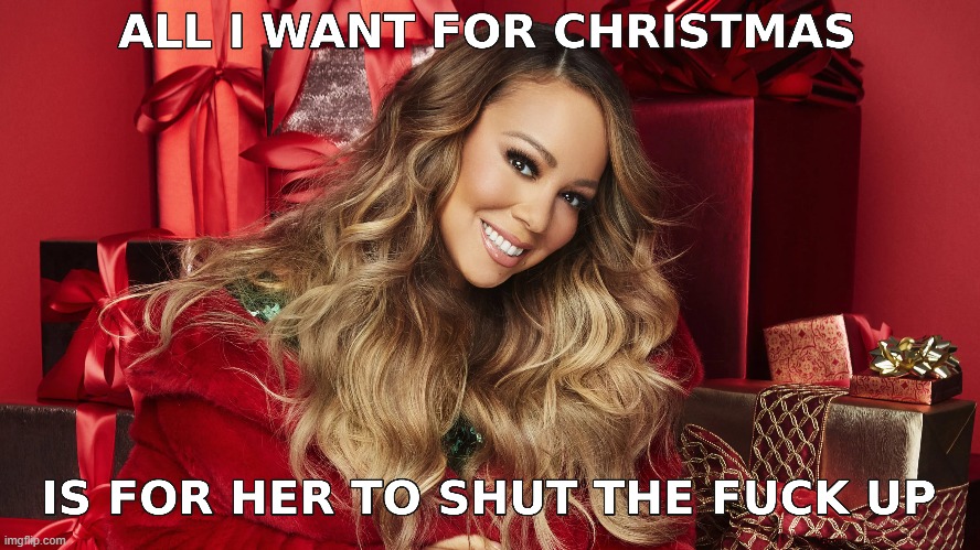 Seriously. That's all I want | image tagged in christmas,bitch please,shut up | made w/ Imgflip meme maker