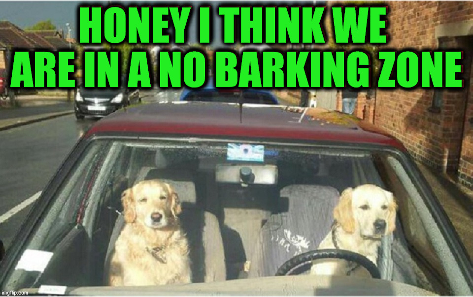 HONEY I THINK WE 
ARE IN A NO BARKING ZONE | image tagged in dogs | made w/ Imgflip meme maker