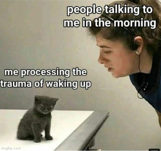 image tagged in memes,waking up | made w/ Imgflip meme maker