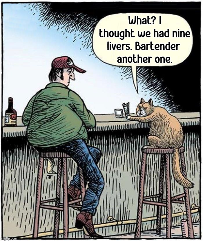 What? I thought we had nine livers. Bartender 
another one. | image tagged in comics/cartoons | made w/ Imgflip meme maker