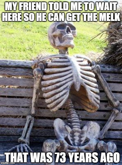 I'm waiting. | MY FRIEND TOLD ME TO WAIT HERE SO HE CAN GET THE MELK; THAT WAS 73 YEARS AGO | image tagged in memes,waiting skeleton | made w/ Imgflip meme maker