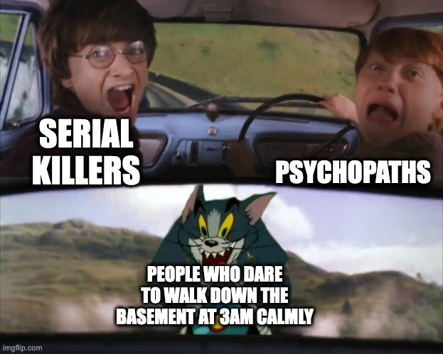 Does anyone dare? | PSYCHOPATHS; SERIAL KILLERS; PEOPLE WHO DARE TO WALK DOWN THE BASEMENT AT 3AM CALMLY | image tagged in tom chasing harry and ron weasly | made w/ Imgflip meme maker