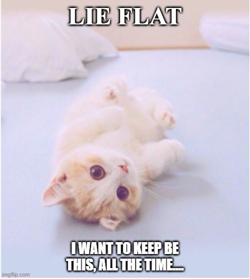 lie flat | LIE FLAT; I WANT TO KEEP BE THIS, ALL THE TIME.... | image tagged in fun | made w/ Imgflip meme maker