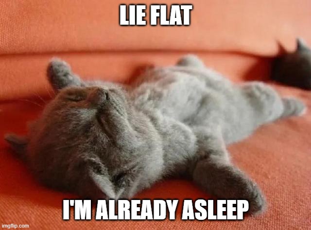 lie flat | LIE FLAT; I'M ALREADY ASLEEP | image tagged in funny | made w/ Imgflip meme maker