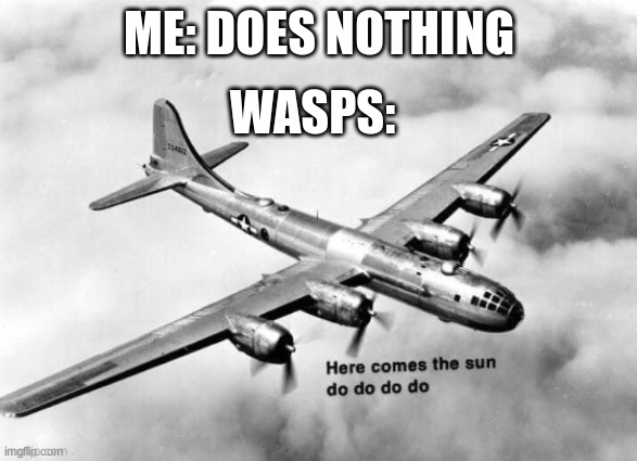 wasps are evil little frickers and nobody likes them and never will |  ME: DOES NOTHING; WASPS: | image tagged in here comes the sun dodododo b29,wasp,die | made w/ Imgflip meme maker