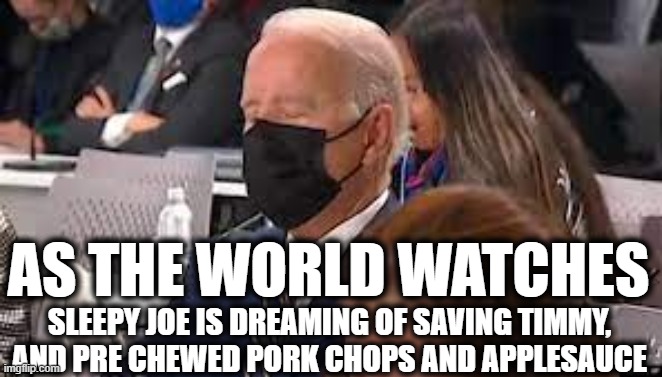 Sleepy Joe | AS THE WORLD WATCHES; SLEEPY JOE IS DREAMING OF SAVING TIMMY, AND PRE CHEWED PORK CHOPS AND APPLESAUCE | image tagged in sleepy joe,dogs do dream,carbon monoxide poisoning,it was so real | made w/ Imgflip meme maker