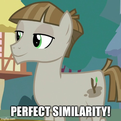PERFECT SIMILARITY! | made w/ Imgflip meme maker