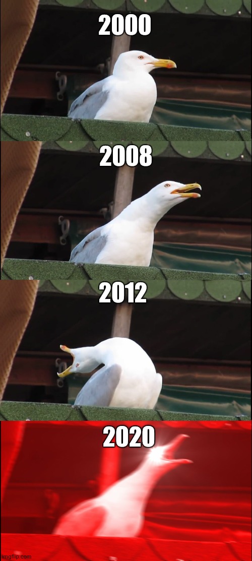 Inhaling Seagull | 2000; 2008; 2012; 2020 | image tagged in memes,inhaling seagull | made w/ Imgflip meme maker