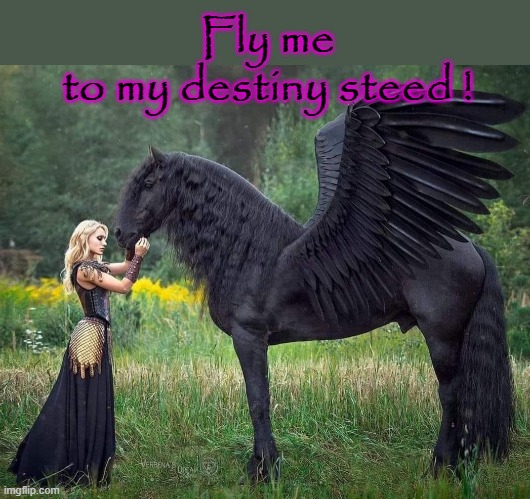 Destiny Awaits ! | Fly me
to my destiny steed ! | image tagged in horsepower | made w/ Imgflip meme maker