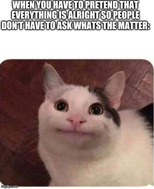 WHEN YOU HAVE TO PRETEND THAT EVERYTHING IS ALRIGHT SO PEOPLE DON'T HAVE TO ASK WHATS THE MATTER: | image tagged in blank white template,polite cat,memes | made w/ Imgflip meme maker