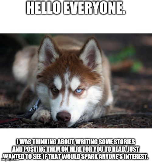 Also you guys can vote on what kind of story it is. | HELLO EVERYONE. I WAS THINKING ABOUT WRITING SOME STORIES AND POSTING THEM ON HERE FOR YOU TO READ. JUST WANTED TO SEE IF THAT WOULD SPARK ANYONE'S INTEREST. | image tagged in maple_husky,stories,fantasy,idk | made w/ Imgflip meme maker