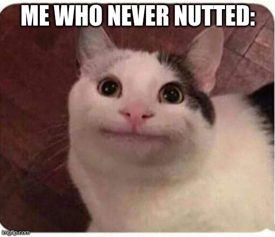 Polite Cat | ME WHO NEVER NUTTED: | image tagged in polite cat | made w/ Imgflip meme maker