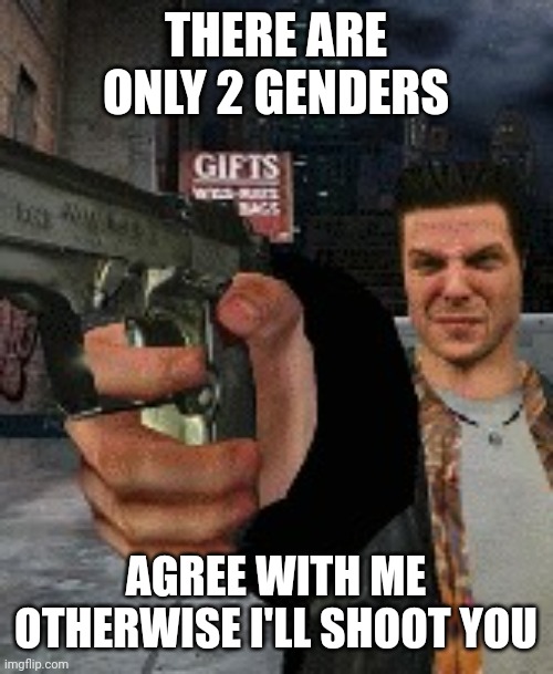 (joke) | THERE ARE ONLY 2 GENDERS; AGREE WITH ME OTHERWISE I'LL SHOOT YOU | image tagged in payne bmp | made w/ Imgflip meme maker